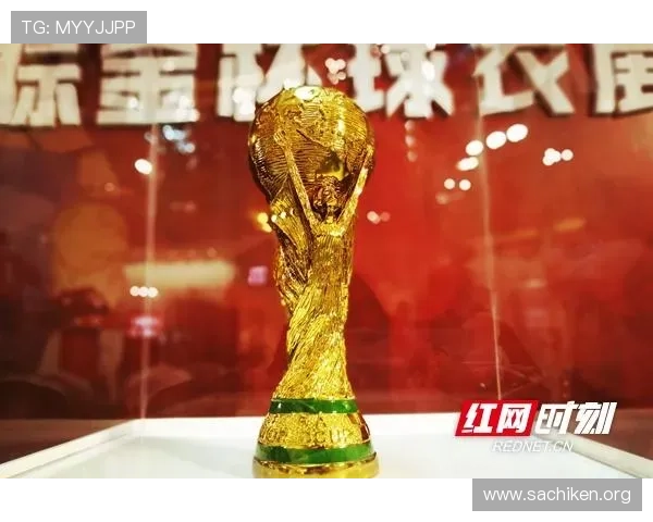 2024年MK体育世界杯竞猜最佳策略与实用技巧全方位指南