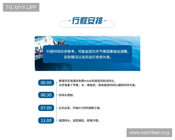 MK体育国际站用户指南:如何快速注册、安全投注以及享受优质的体育资讯